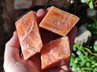 Natural Sunset Orange Rhombohedron Calcite Specimens x 24 From Spitzkop, Namibia