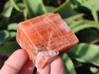 Natural Sunset Orange Rhombohedron Calcite Specimens x 24 From Spitzkop, Namibia