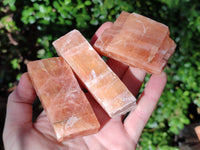 Natural Sunset Orange Rhombohedron Calcite Specimens x 24 From Spitzkop, Namibia