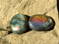 Polished Labradorite Palmstones x 35 From Tulear, Madagascar