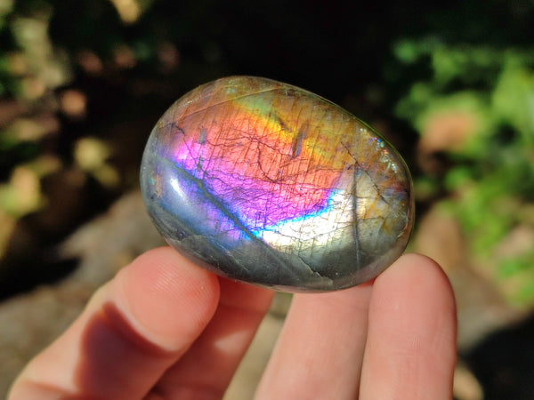 Polished Labradorite Palmstones x 35 From Tulear, Madagascar