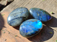 Polished Labradorite Palmstones x 35 From Tulear, Madagascar