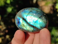 Polished Labradorite Palmstones x 35 From Tulear, Madagascar
