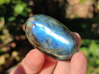 Polished Labradorite Palmstones x 35 From Tulear, Madagascar