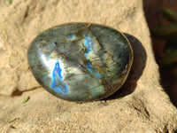 Polished Labradorite Palmstones x 35 From Tulear, Madagascar