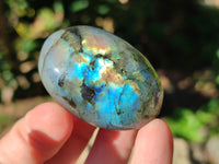 Polished Labradorite Palmstones x 35 From Tulear, Madagascar