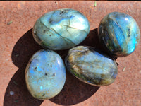 Polished Labradorite Palmstones x 35 From Tulear, Madagascar