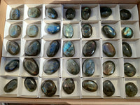 Polished Labradorite Palmstones x 35 From Tulear, Madagascar