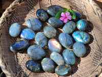 Polished Labradorite Palmstones x 35 From Tulear, Madagascar