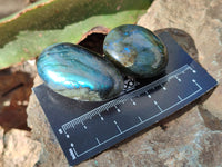 Polished Labradorite Palmstones x 35 From Tulear, Madagascar