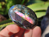 Polished Labradorite Palmstones x 35 From Tulear, Madagascar