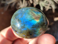 Polished Labradorite Palmstones x 35 From Tulear, Madagascar