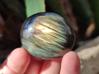Polished Labradorite Palmstones x 35 From Tulear, Madagascar