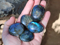 Polished Labradorite Palmstones x 35 From Tulear, Madagascar