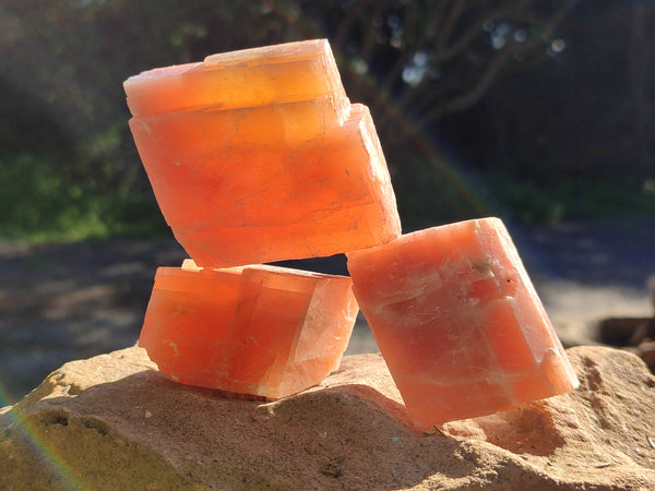 Natural Sunset Orange Rhombohedron Calcite Specimens x 12 From Spitzkop, Namibia