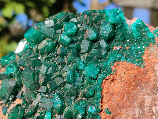 Natural Dioptase On Dolomite Specimen x 1 From Likasi, Congo
