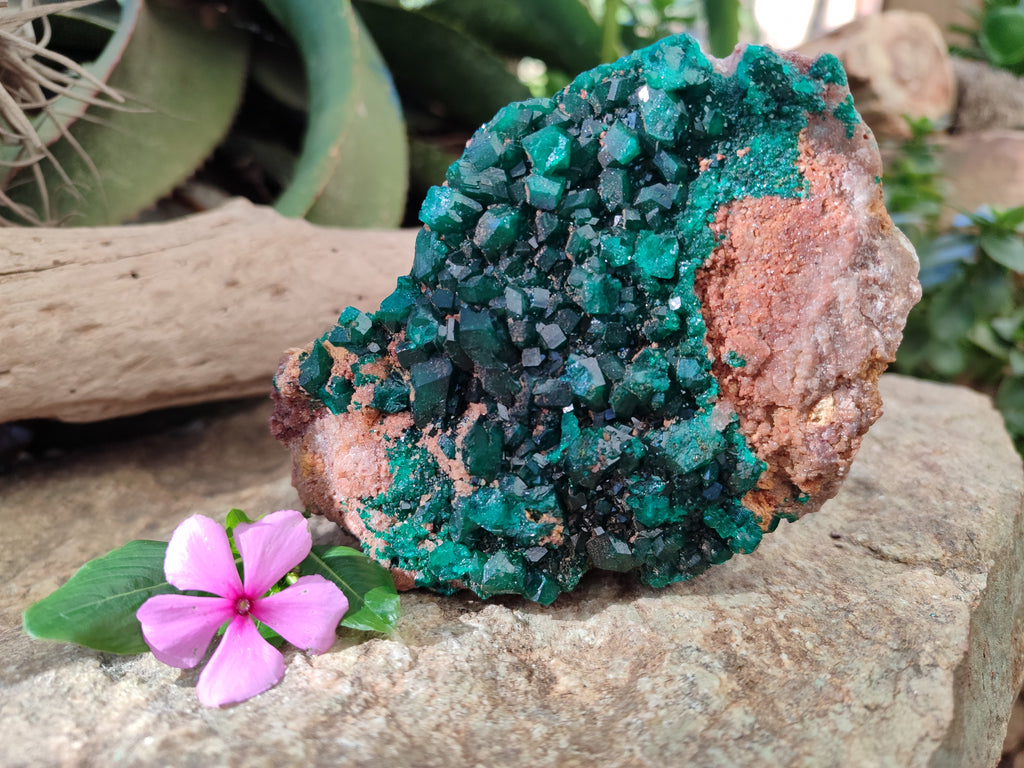 Natural Dioptase On Dolomite Specimen x 1 From Likasi, Congo - Toprock Gemstones and Minerals 