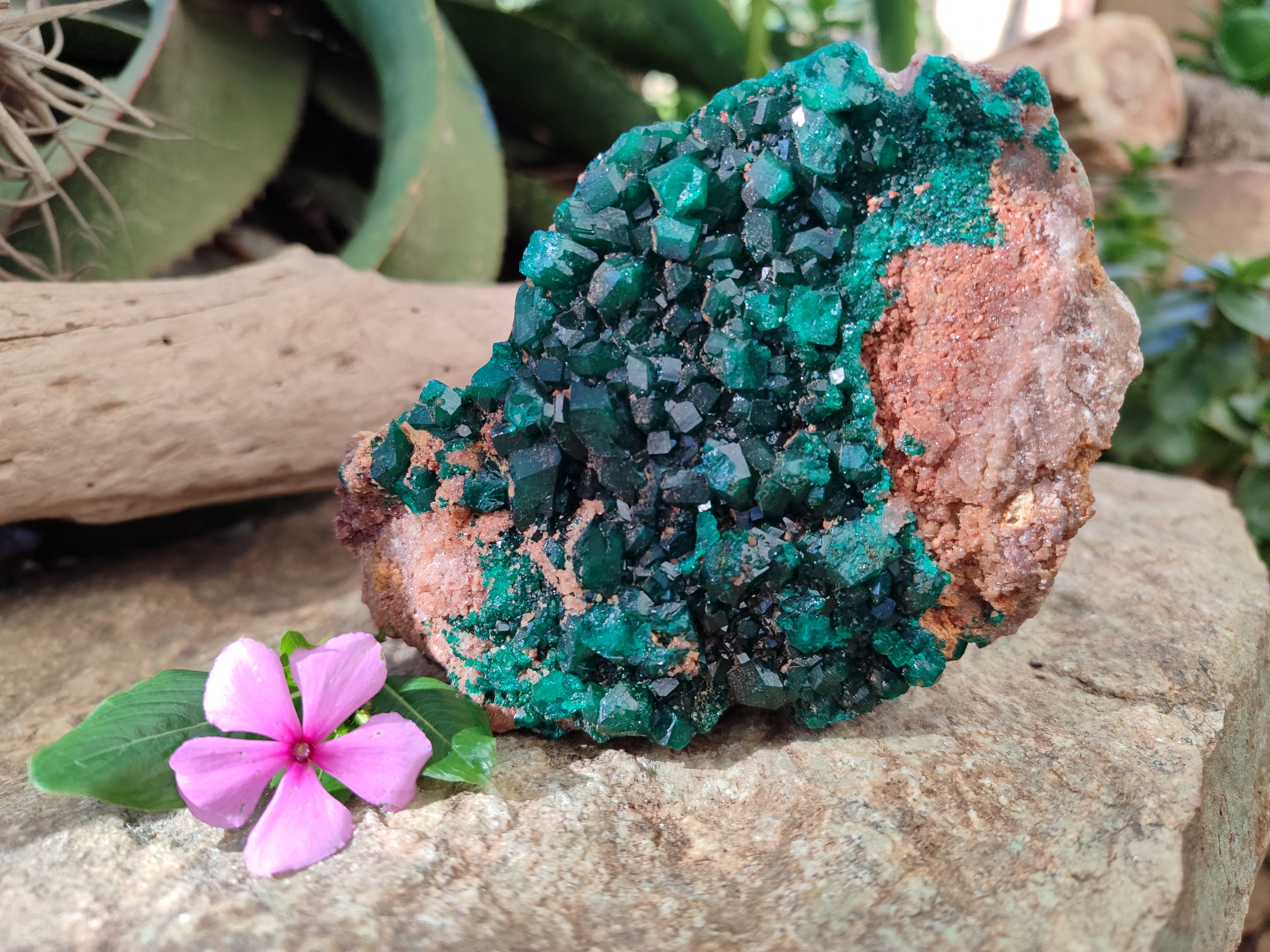 Natural Dioptase On Dolomite Specimen x 1 From Likasi, Congo - Toprock Gemstones and Minerals 
