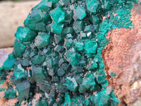 Natural Dioptase On Dolomite Specimen x 1 From Likasi, Congo