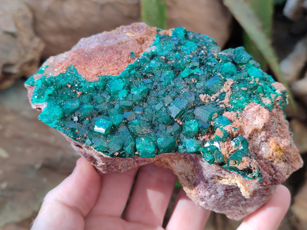 Natural Dioptase On Dolomite Specimen x 1 From Likasi, Congo - Toprock Gemstones and Minerals 