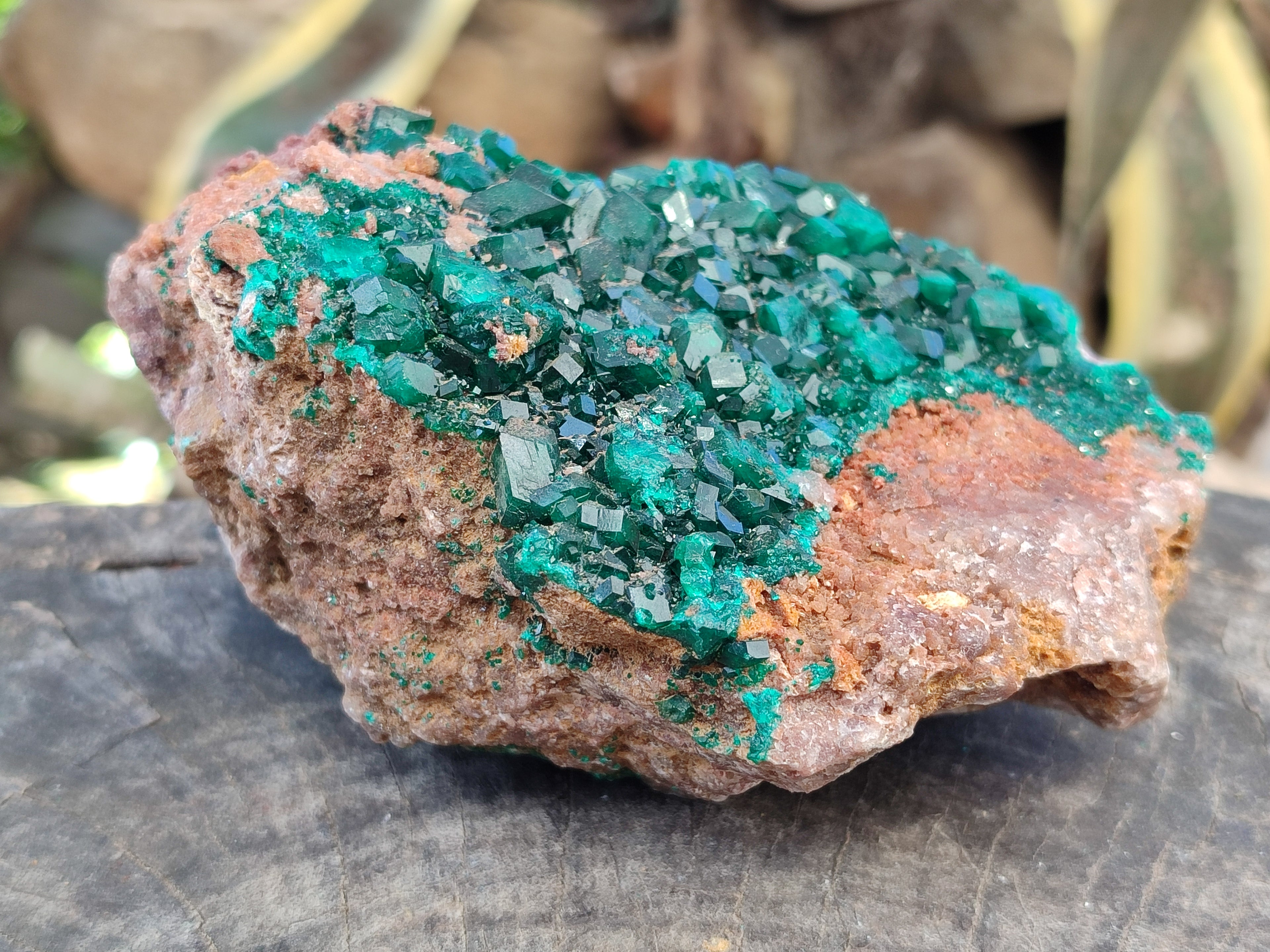Natural Dioptase On Dolomite Specimen x 1 From Likasi, Congo - Toprock Gemstones and Minerals 