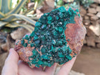 Natural Dioptase On Dolomite Specimen x 1 From Likasi, Congo - Toprock Gemstones and Minerals 