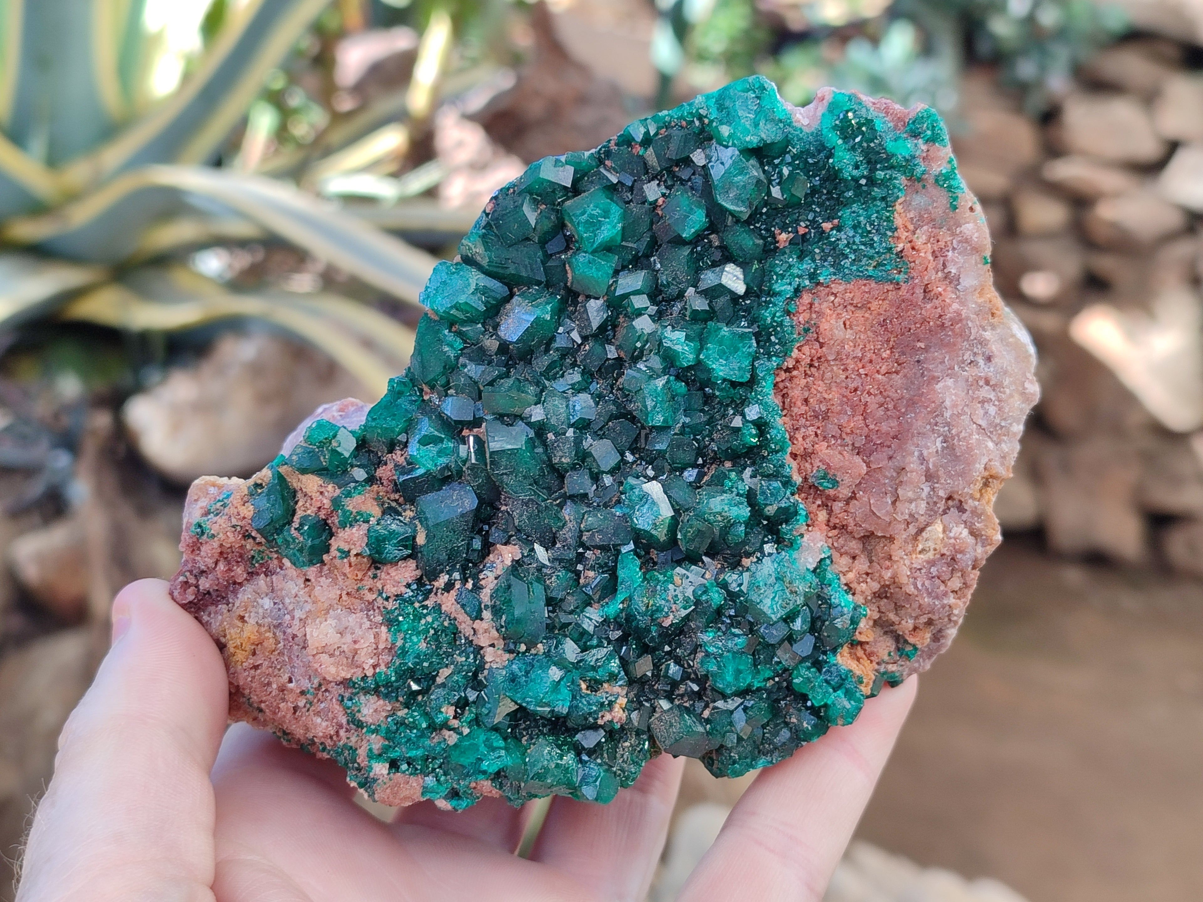Natural Dioptase On Dolomite Specimen x 1 From Likasi, Congo - Toprock Gemstones and Minerals 