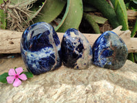 Polished Sodalite Standing Free Forms x 3 From Kunene River, Namibia