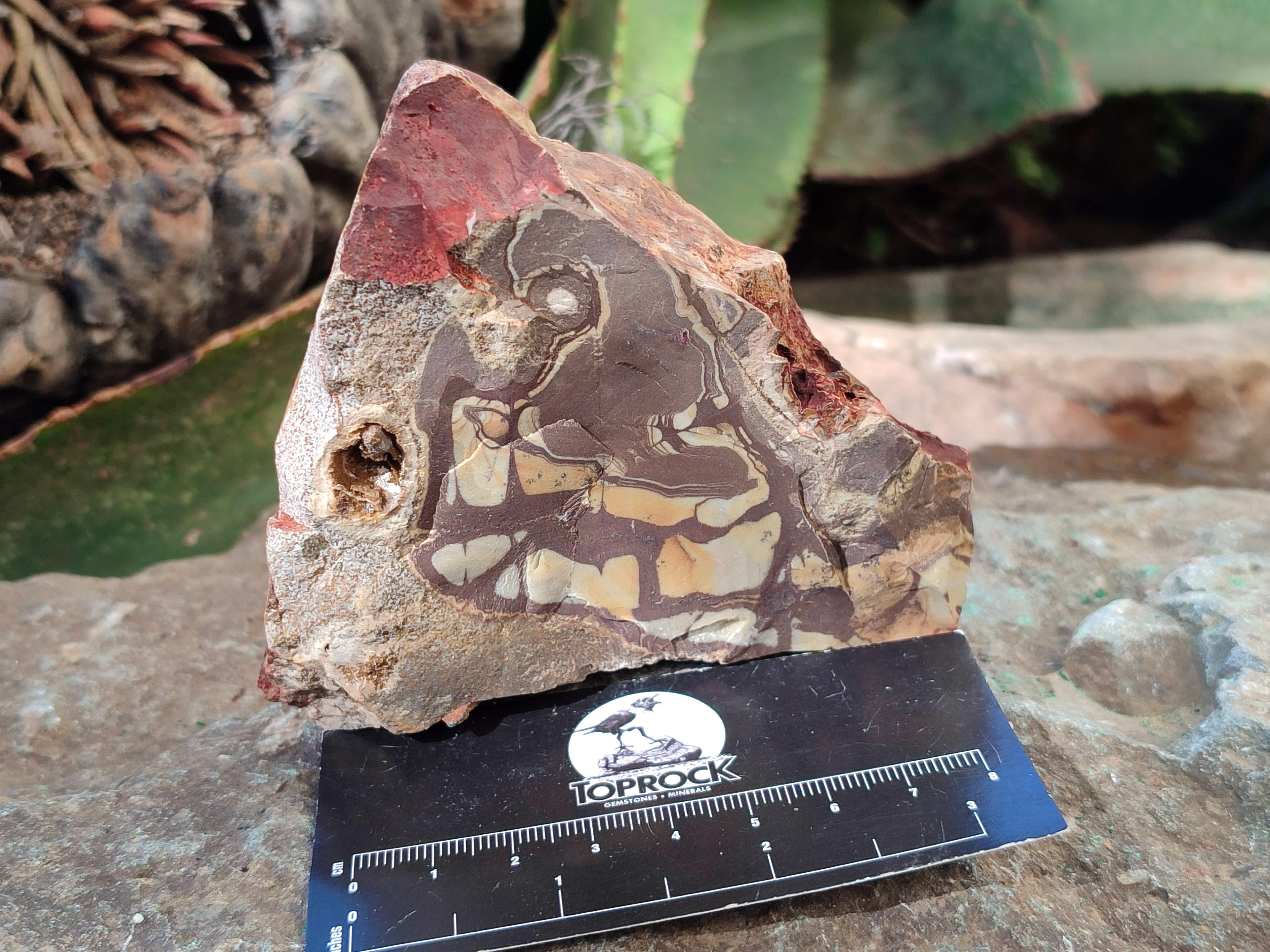 Natural Nguni Jasper Cobbed Specimens x 15 From Prieska, South Africa - Toprock Gemstones and Minerals 