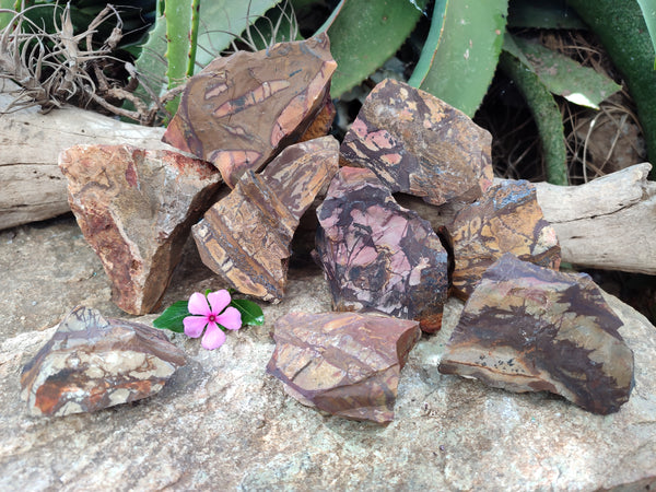 Natural Nguni Jasper Cobbed Specimens x 15 From Prieska, South Africa