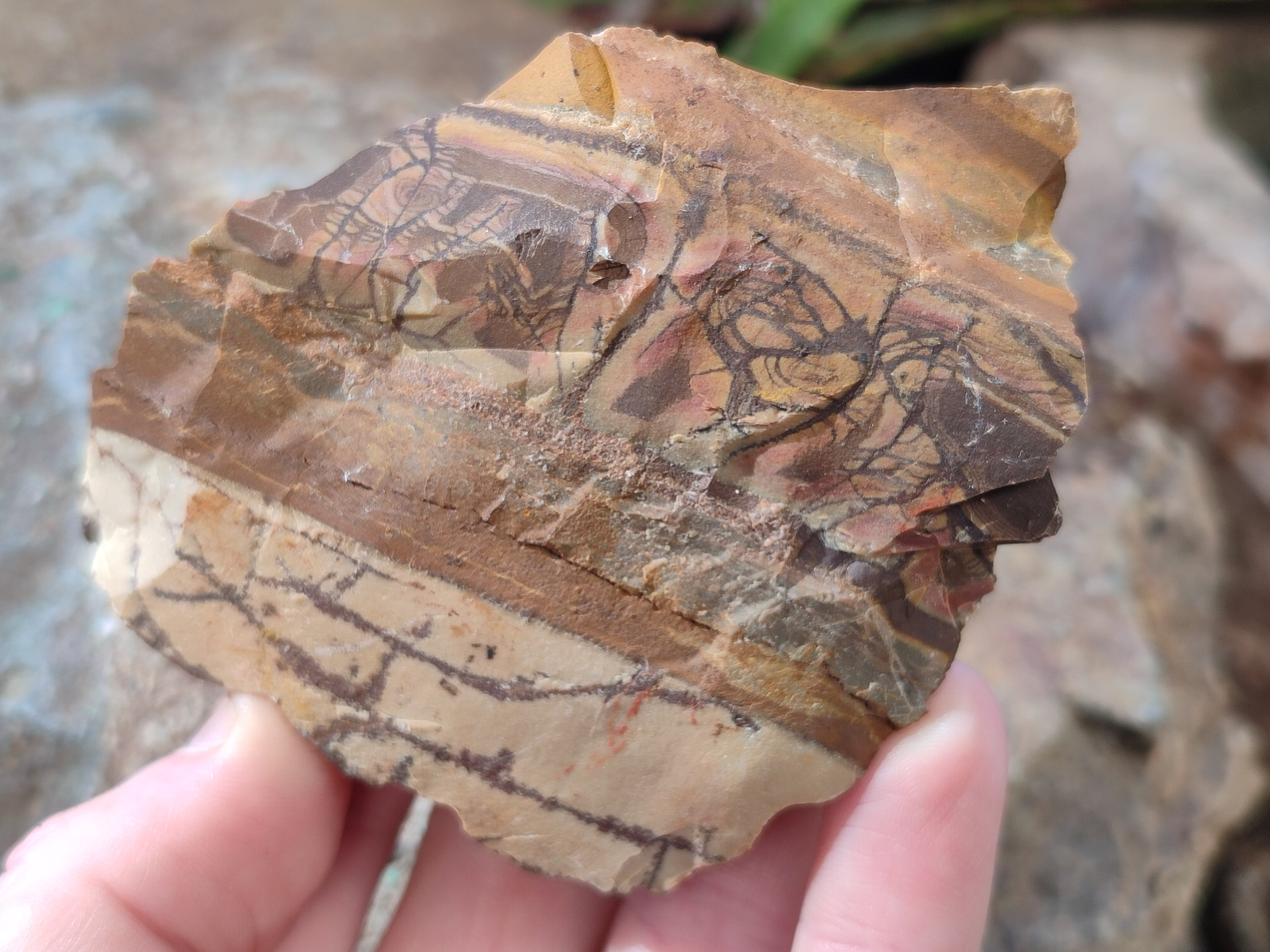 Natural Nguni Jasper Cobbed Specimens x 15 From Prieska, South Africa - Toprock Gemstones and Minerals 