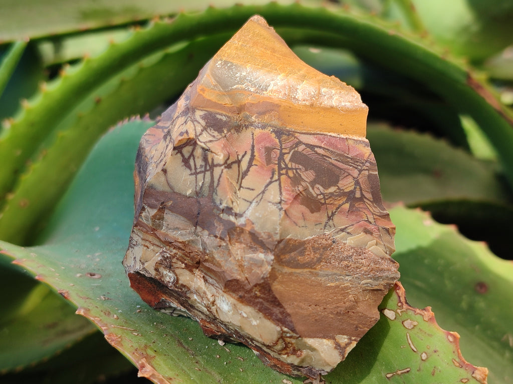 Natural Nguni Jasper Cobbed Specimens x 15 From Prieska, South Africa - Toprock Gemstones and Minerals 