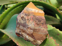 Natural Nguni Jasper Cobbed Specimens x 15 From Prieska, South Africa