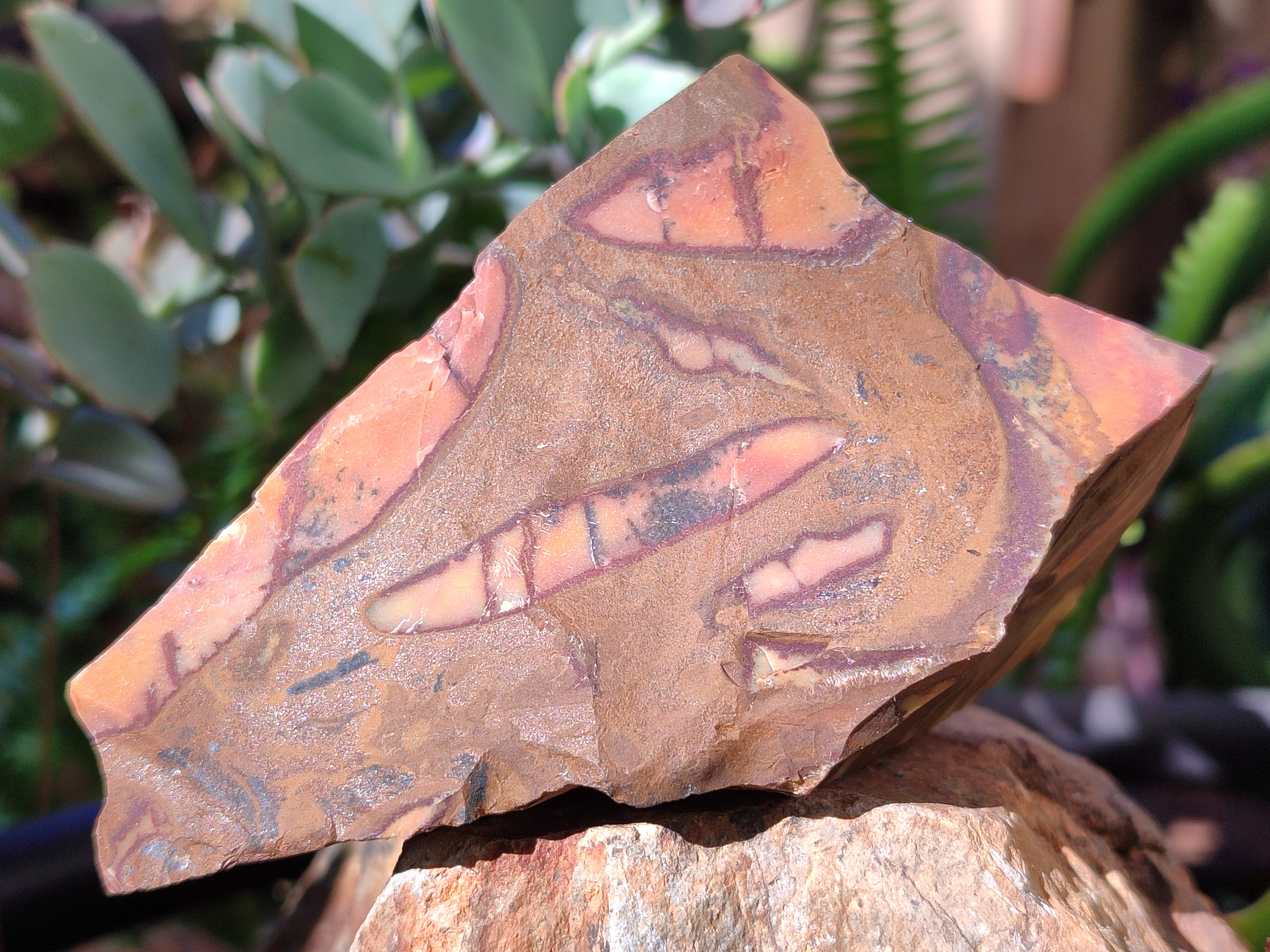 Natural Nguni Jasper Cobbed Specimens x 15 From Prieska, South Africa - Toprock Gemstones and Minerals 