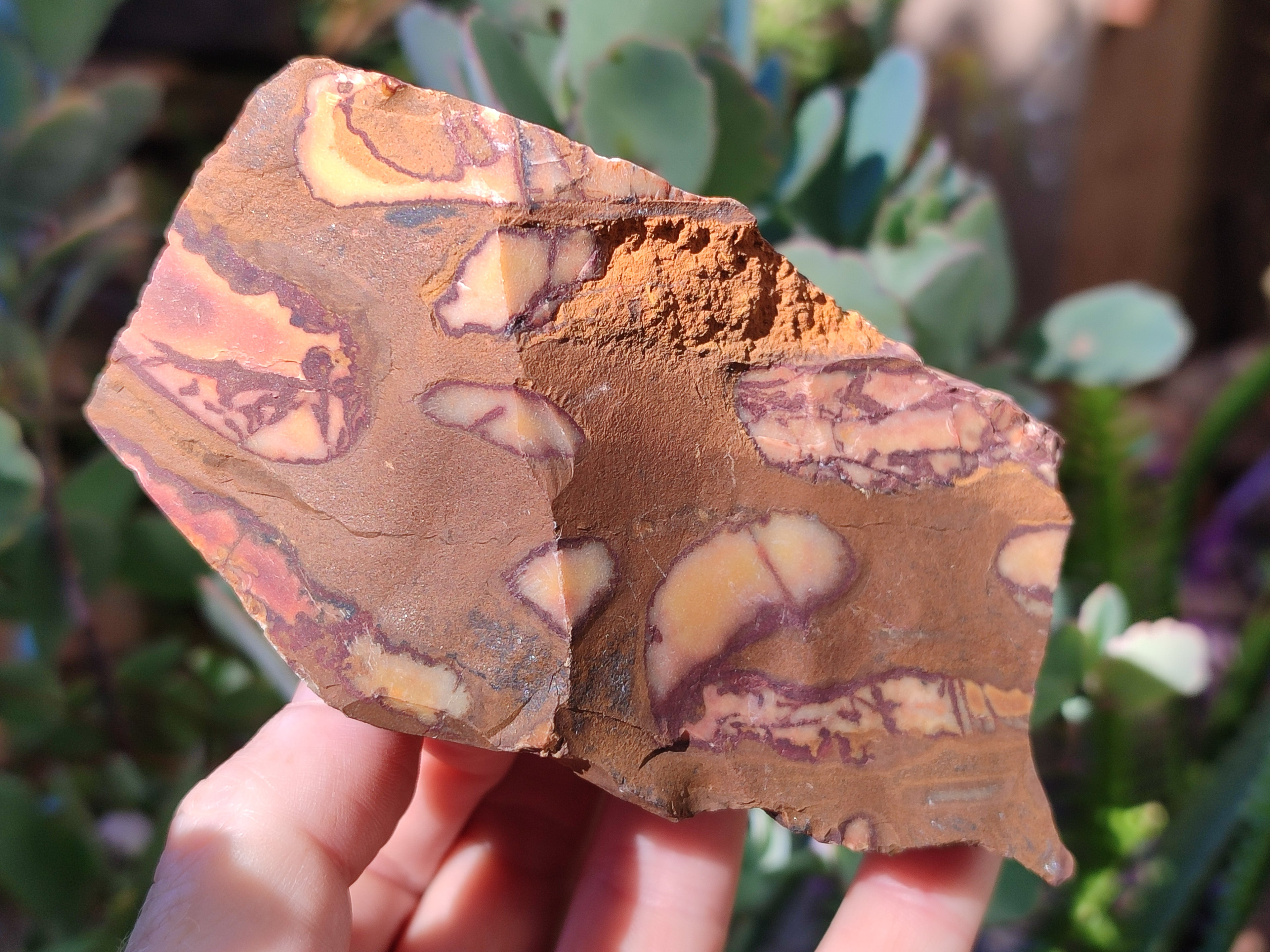 Natural Nguni Jasper Cobbed Specimens x 15 From Prieska, South Africa - Toprock Gemstones and Minerals 