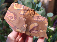 Natural Nguni Jasper Cobbed Specimens x 15 From Prieska, South Africa