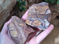 Natural Nguni Jasper Cobbed Specimens x 15 From Prieska, South Africa
