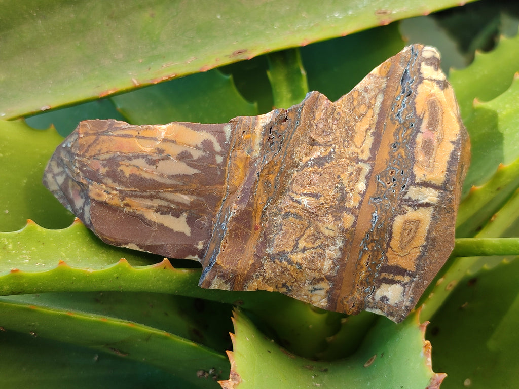 Natural Nguni Jasper Cobbed Specimens x 15 From Prieska, South Africa - Toprock Gemstones and Minerals 