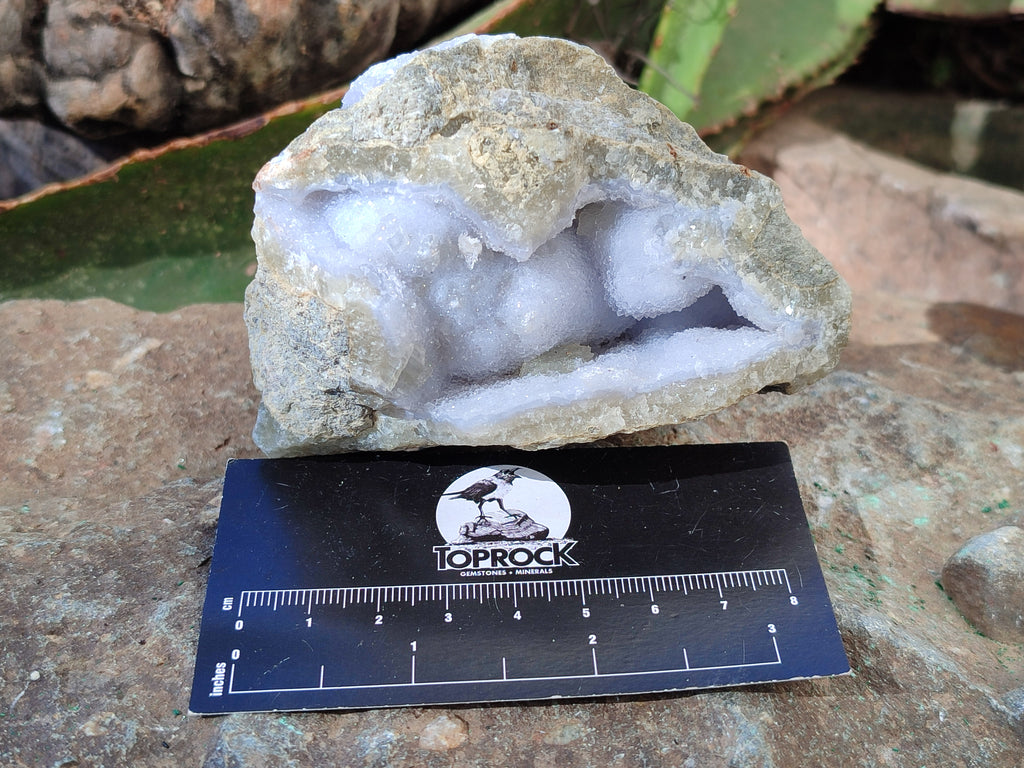 Natural Blue Lace Agate Geode Specimens x 6 From Nsanje, Malawi - Toprock Gemstones and Minerals 