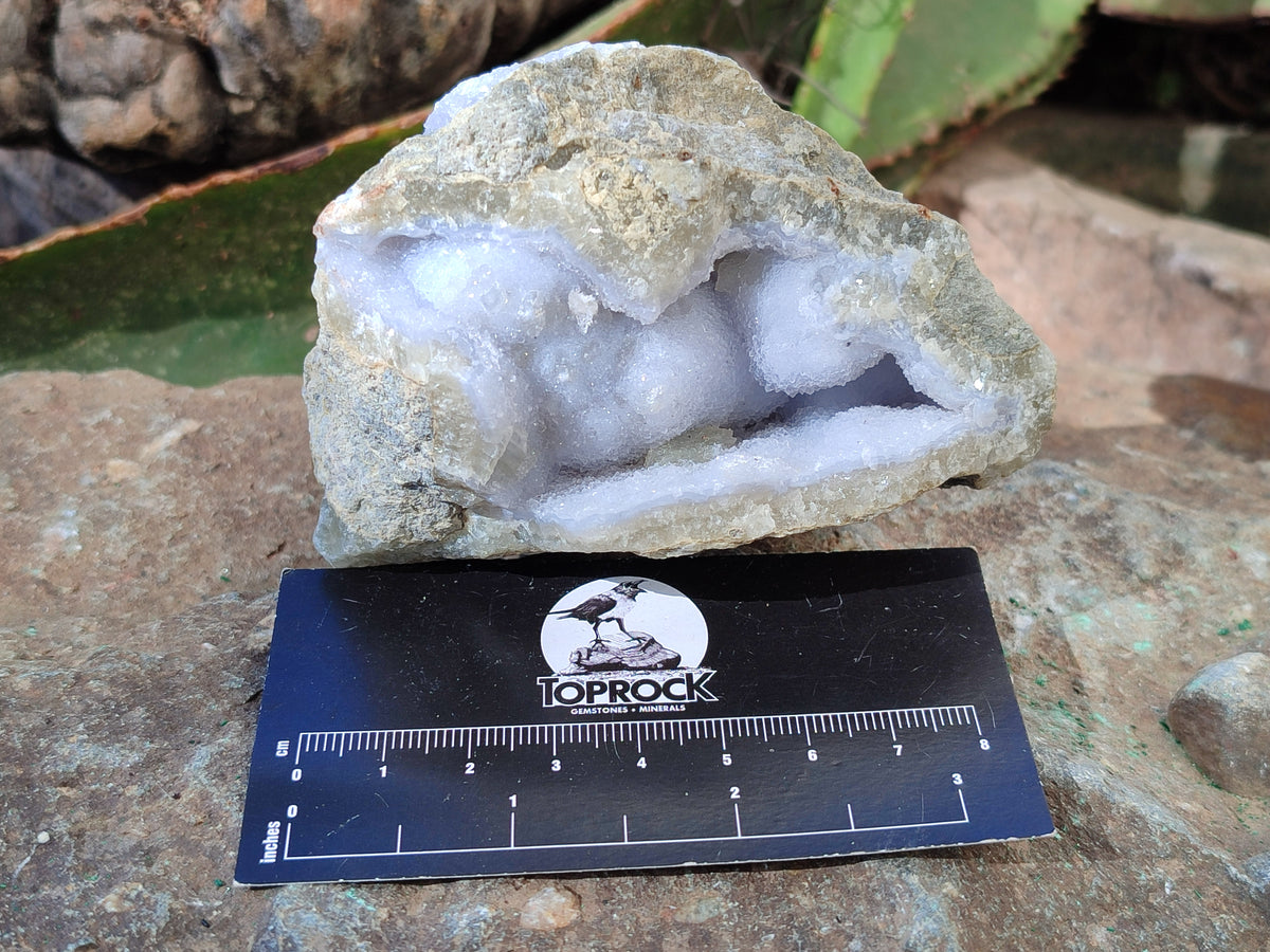 Natural Blue Lace Agate Geode Specimens x 6 From Nsanje, Malawi - Toprock Gemstones and Minerals 