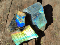 Polished On One Side Labradorite Slices x 70 From Tulear, Madagascar