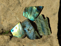 Polished On One Side Labradorite Slices x 70 From Tulear, Madagascar