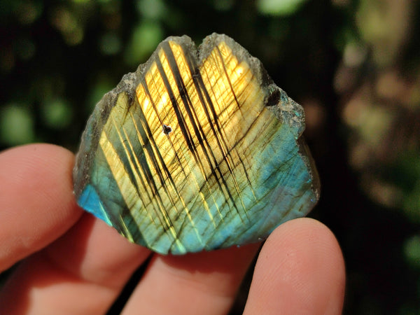 Polished On One Side Labradorite Slices x 70 From Tulear, Madagascar