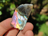 Polished On One Side Labradorite Slices x 70 From Tulear, Madagascar