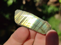 Polished On One Side Labradorite Slices x 70 From Tulear, Madagascar
