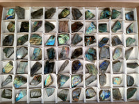 Polished On One Side Labradorite Slices x 70 From Tulear, Madagascar