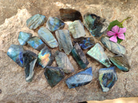 Polished On One Side Labradorite Slices x 70 From Tulear, Madagascar