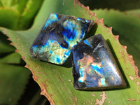 Polished On One Side Labradorite Slices x 70 From Tulear, Madagascar