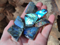 Polished On One Side Labradorite Slices x 70 From Tulear, Madagascar