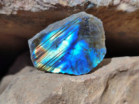 Polished On One Side Labradorite Slices x 70 From Tulear, Madagascar